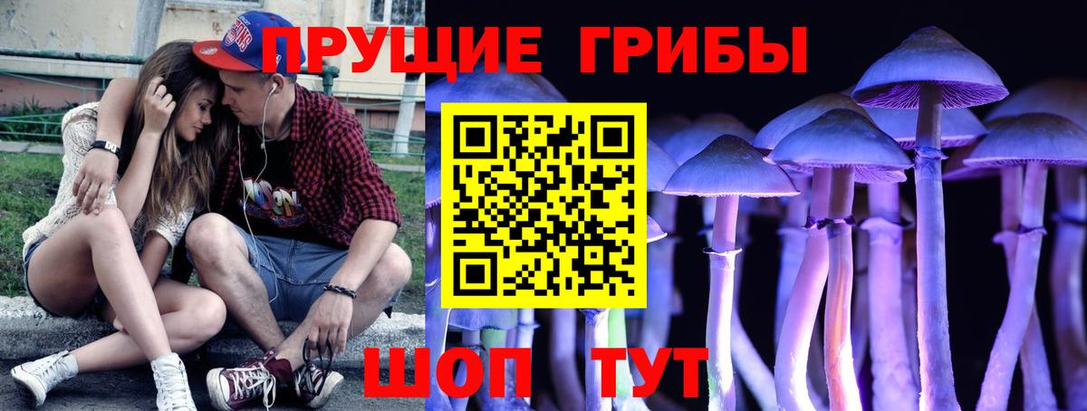 Псилоцибиновые грибы мицелий  Галлюциногенные грибы мухоморы  Вход с VPN  наркотики  Электросталь 